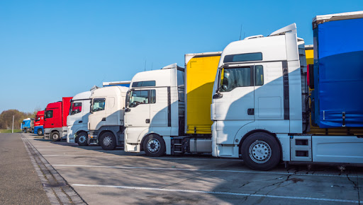 transporte